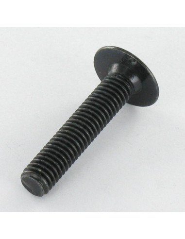 1 x Tornillo poelier cabeza redonda ancha M6X40...