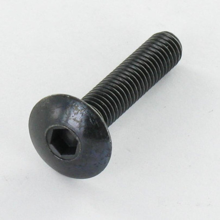1 x Tornillo poelier cabeza redonda ancha M8X20 llave de 5 Acero cincado negro