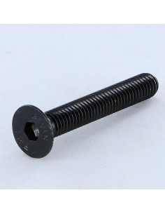 Tornillo metales FHC cabeza fresada cavidad hexagonal...