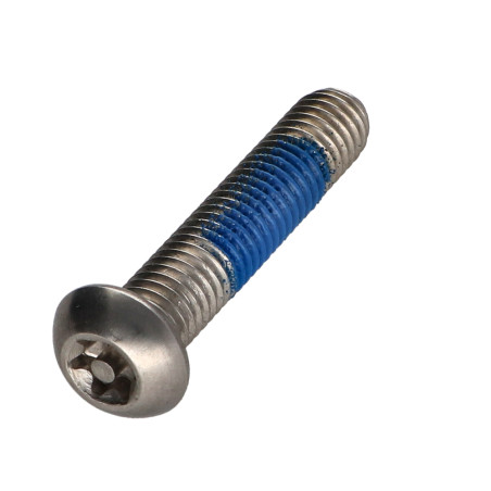 1 x Tornillo metales Inoxidable A2 Seguridad cabeza abombada TORX T40 con tetón M8X40 Freno rosca