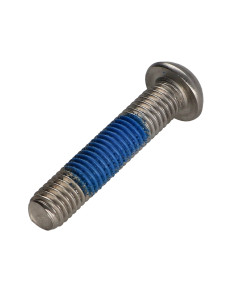 Tornillo metales Inoxidable A2 Seguridad cabeza abombada... 2