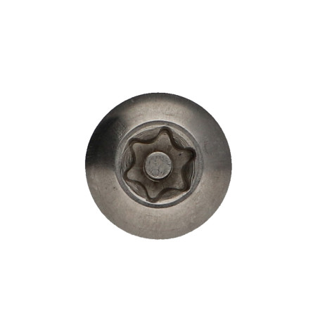1 x Tornillo metales Inoxidable A2 Seguridad cabeza abombada TORX T40 con tetón M8X40 Freno rosca