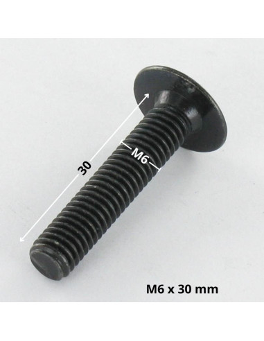 1 x Tornillo poelier cabeza redonda ancha M6X30...