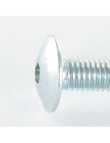 1 x Tornillo poelier cabeza redonda ancha M8X55...