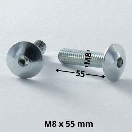 1 x Tornillo poelier cabeza redonda ancha M8X55 llave de 5 Acero cincado blanco