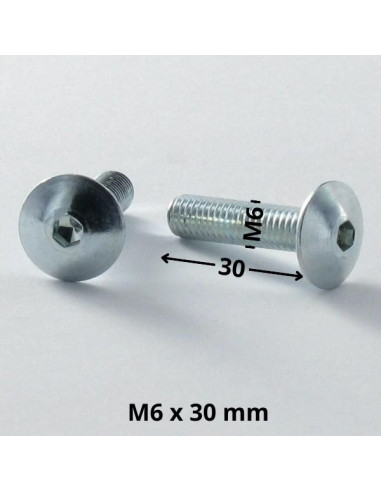 1 x Tornillo poelier cabeza redonda ancha M6X30...