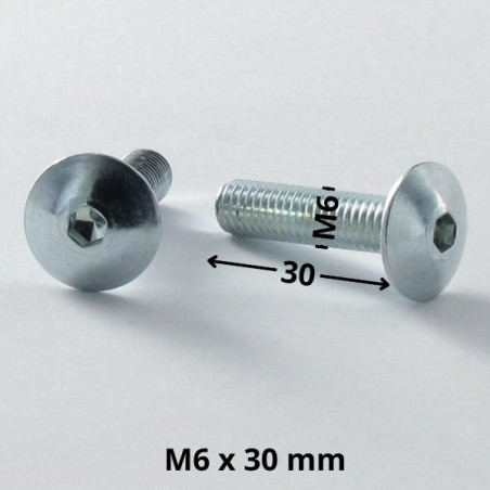 1 x Tornillo poelier cabeza redonda ancha M6X30 llave de 4 Acero cincado blanco