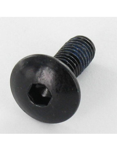 1 x Tornillo poelier cabeza redonda ancha M6X16...