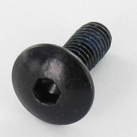 1 x Tornillo poelier cabeza redonda ancha M6X16 llave de 4 Acero cincado negro Freno rosca