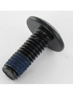 Tornillo poelier cabeza redonda ancha M6X16 llave de 4... 2