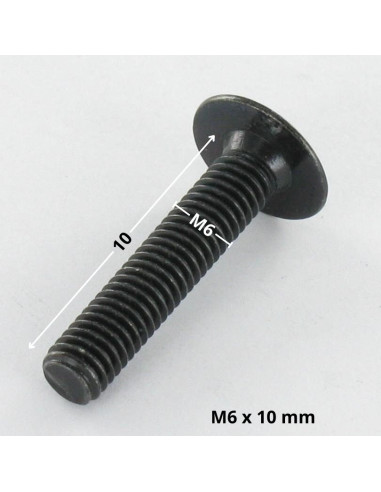 1 x Tornillo poelier cabeza redonda ancha M6X10...
