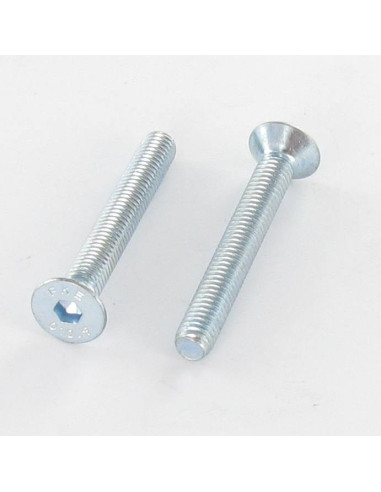 1 x Tornillo metales FHC cabeza fresada cavidad...