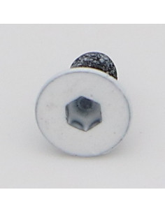 Tornillo metales FHC cabeza fresada cavidad hexagonal...