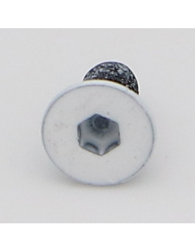 1 x Tornillo metales FHC cabeza fresada cavidad...