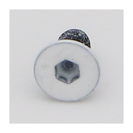 1 x Tornillo metales FHC cabeza fresada cavidad hexagonal hueca M3X6 roscado total clase 10.9 llave de 2 Acero bruto LBL