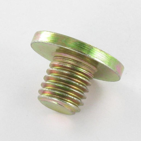 1 x Tornillo metales Bicromato cabeza plana 20X13 M10X10 llave de 5 XC18