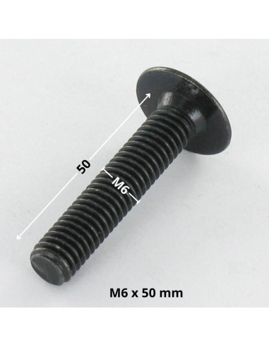 1 x Tornillo poelier cabeza redonda ancha M6X50...