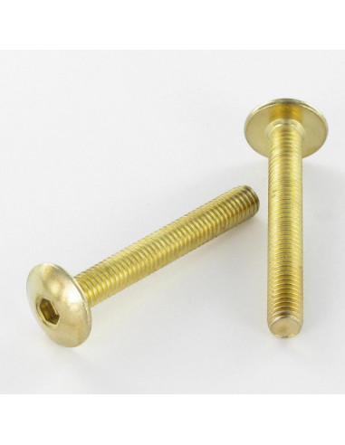 1 x Tornillo poelier cabeza redonda ancha M6X55...