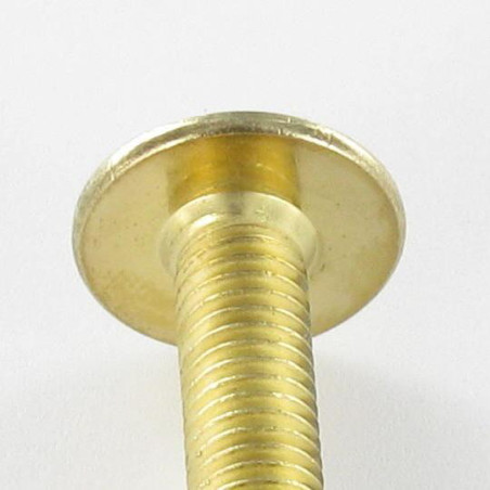 1 x Tornillo poelier cabeza redonda ancha M6X55 llave de 4 Acero latonado