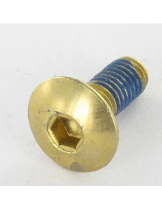 Tornillo poelier cabeza redonda ancha M6X16 llave de 4...