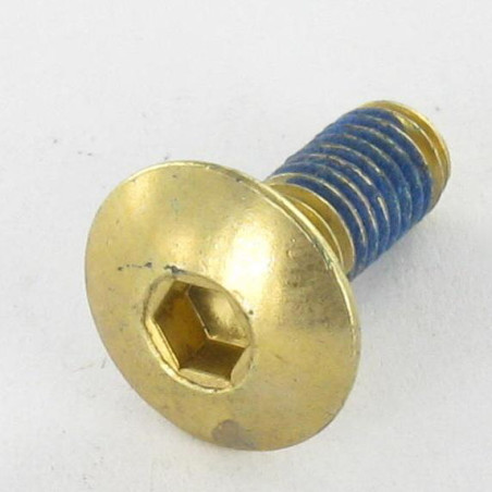 1 x Tornillo poelier cabeza redonda ancha M6X16 llave de 4 Acero latonado FR