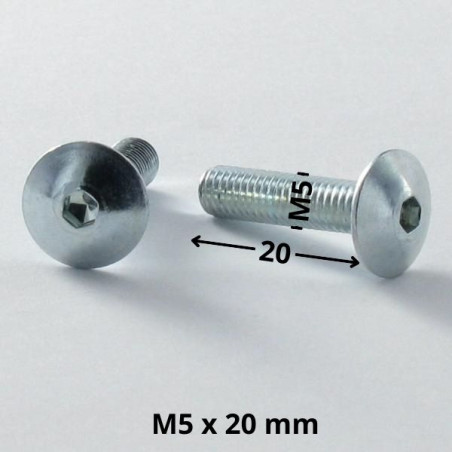 1 x Tornillo poelier cabeza redonda ancha M5X20 llave de 3 Acero cincado blanco