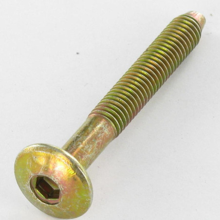 1 x Tornillo poelier cabeza redonda ancha hexagonal hueco M6X47 roscado en 32 punta cónica Bicromato