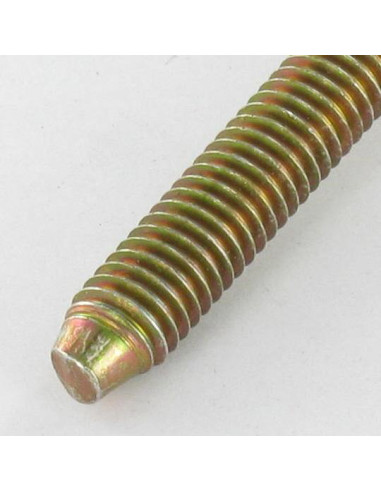 1 x Tornillo poelier cabeza redonda ancha...