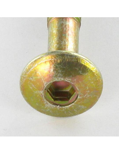 1 x Tornillo poelier cabeza redonda ancha...