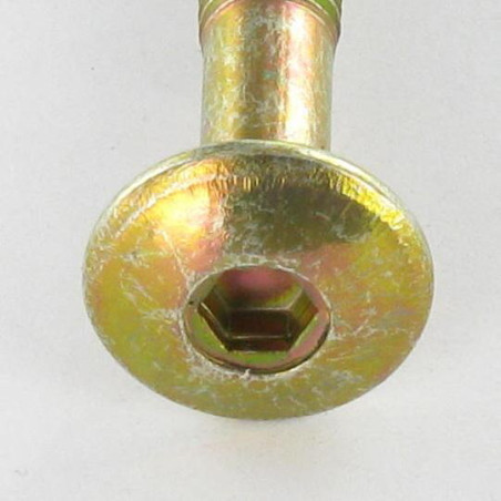 1 x Tornillo poelier cabeza redonda ancha hexagonal hueco M6X47 roscado en 32 punta cónica Bicromato