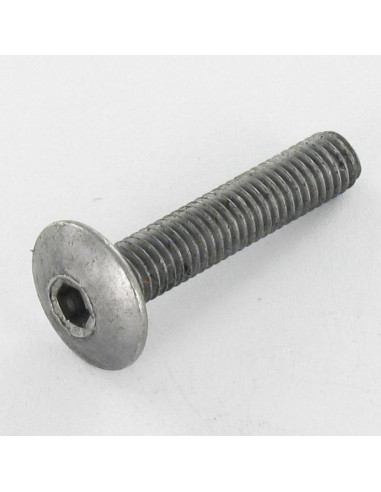 1 x Tornillo poelier cabeza redonda ancha M6X75...