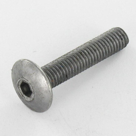 1 x Tornillo poelier cabeza redonda ancha M6X75 llave de 4 Acero bruto