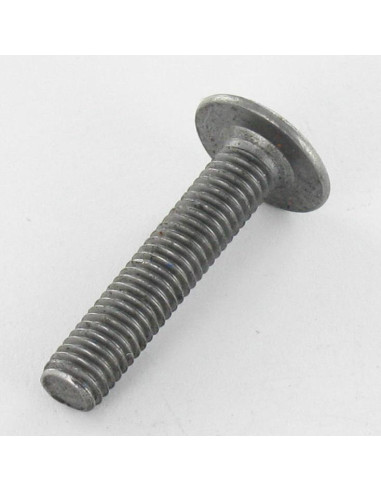 1 x Tornillo poelier cabeza redonda ancha M6X75...