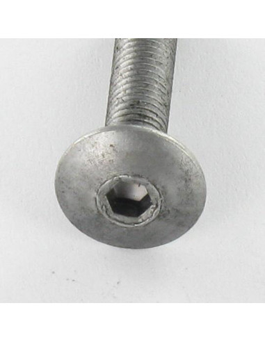 1 x Tornillo poelier cabeza redonda ancha M6X75...