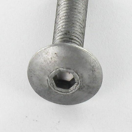 1 x Tornillo poelier cabeza redonda ancha M6X75 llave de 4 Acero bruto