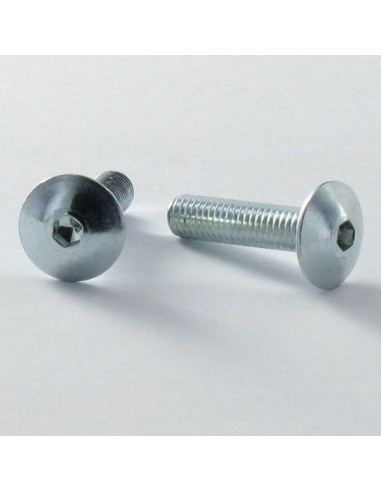 1 x Tornillo poelier cabeza redonda ancha M6X43...