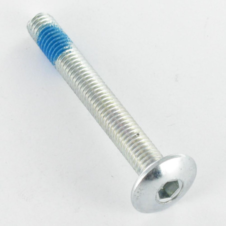 1 x Tornillo poelier cabeza redonda ancha M8X50 llave de 5 Acero cincado blanco Freno rosca