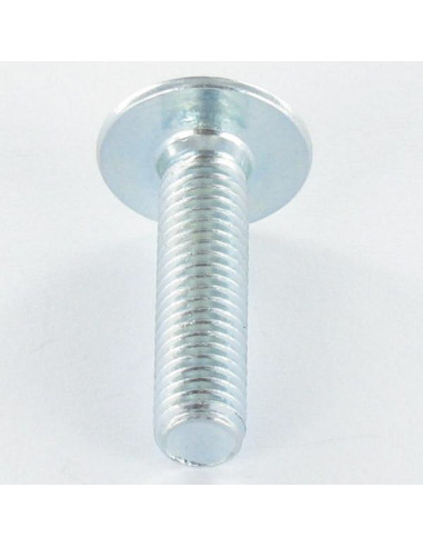 1 x Tornillo poelier cabeza redonda ancha M6X43...