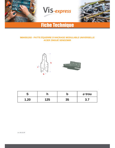 1 x Espiga metal Anclaje 35X125 sendzimir