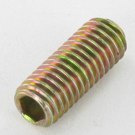 1 x Tornillo metales sin cabeza seis lados hueco llave de 3 M6X20 punta convexa Bicromato