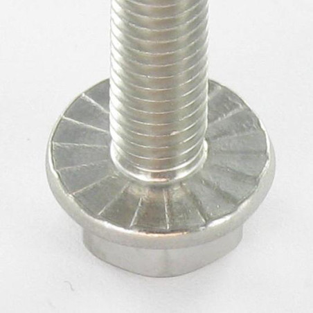 1 x Tornillo metales cabeza hexagonal resalto reborde dentado M12X30 Inoxidable A4