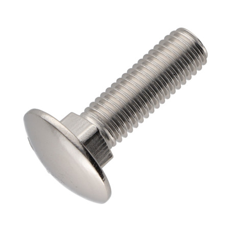 1 x Cabeza redonda cuello cuadrado Inoxidable A2 M5X25 roscado total