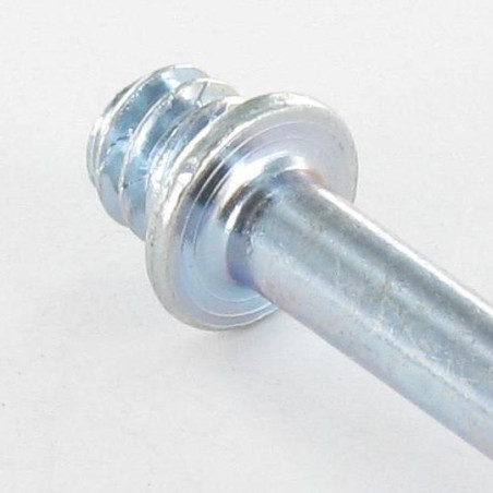 1 x PATAS con Tornillo madera Acero cincado blanco 7X40