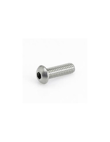 1 x Tornillo metales cabeza Cabeza Abombada con...