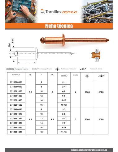 1 x Remache Cabeza redonda estándar varilla de...