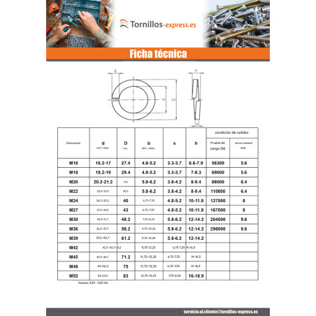 1 x Arandela Grover Inoxidable A4 para Tornillos M24