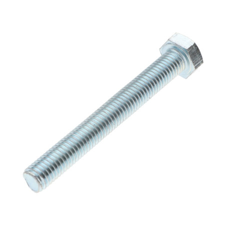 1 x Tornillo metales cabeza hexagonal M6X80 Clase 6.8 Acero cincado blanco