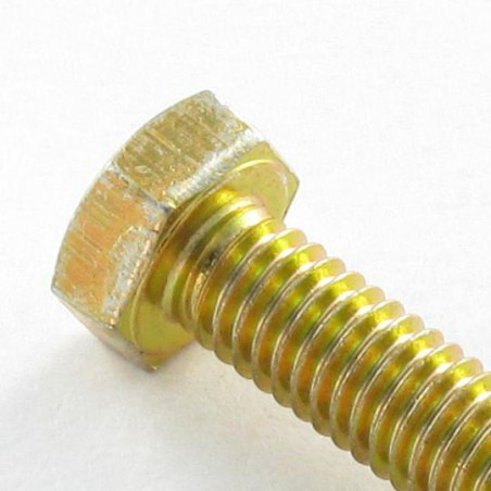 1 x Tornillo metales cabeza hexagonal M6X100 Clase 6.8 Bicromato