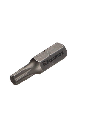 1 x Punta TORX T25 FIZOMAX