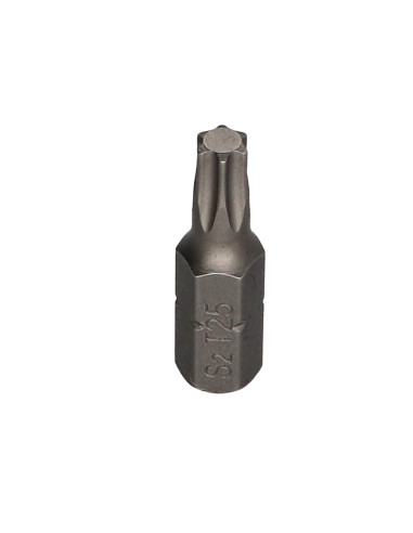 1 x Punta TORX T25 FIZOMAX